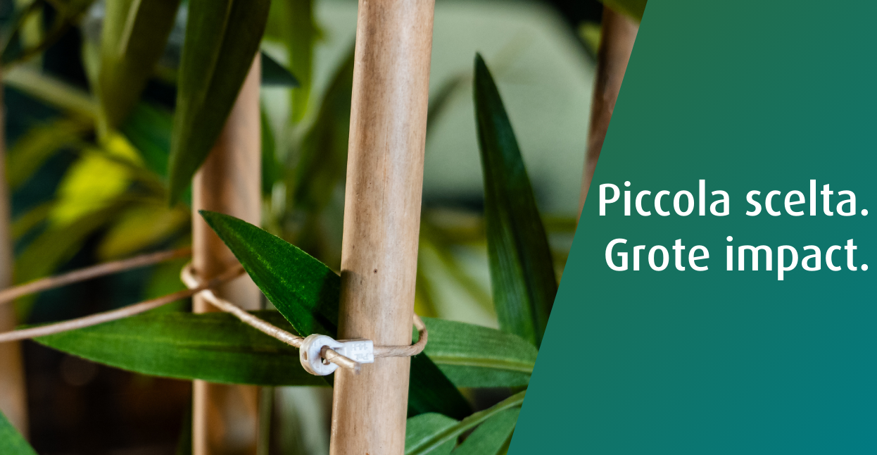 WKK sceglie FibreStrap: una soluzione sostenibile